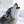 [W_R_F] Wolfs Rudel Flottille