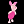[WC-PP] Wild Crazy Pink Pig (WC-PP)