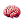 [200IQ] Brain Gaming