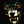 [WP70] Wolf Pack 70