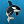 [KWC] Killer Whale Clan